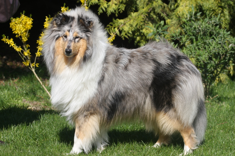 Hypnotic beauty des marecages du Prince