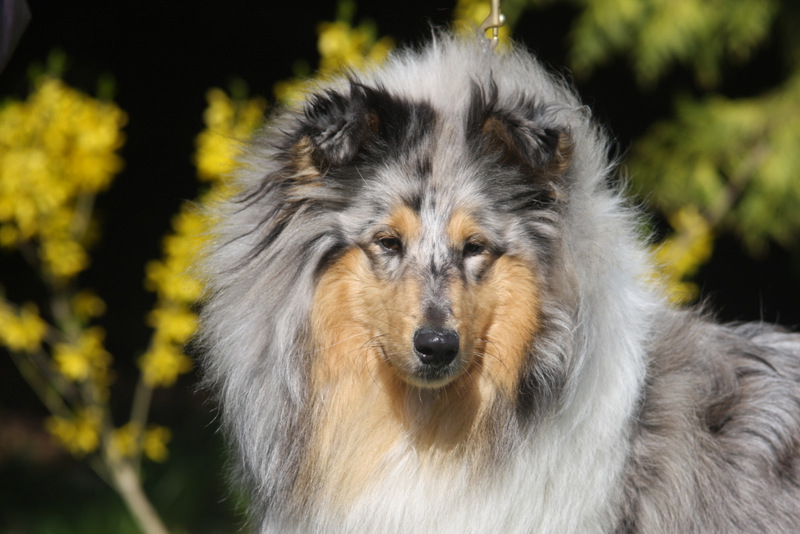 Hypnotic beauty des marecages du Prince