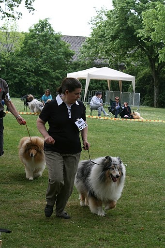 CH. Chanel silver swann de Comborcière - 8ème Exc ouverte Mâle / 33