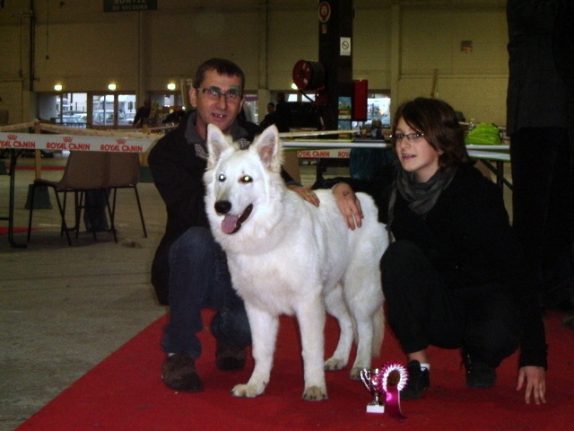Falkor du domaine des fantomes blancs - CPM. 1er Trés Prometteur.