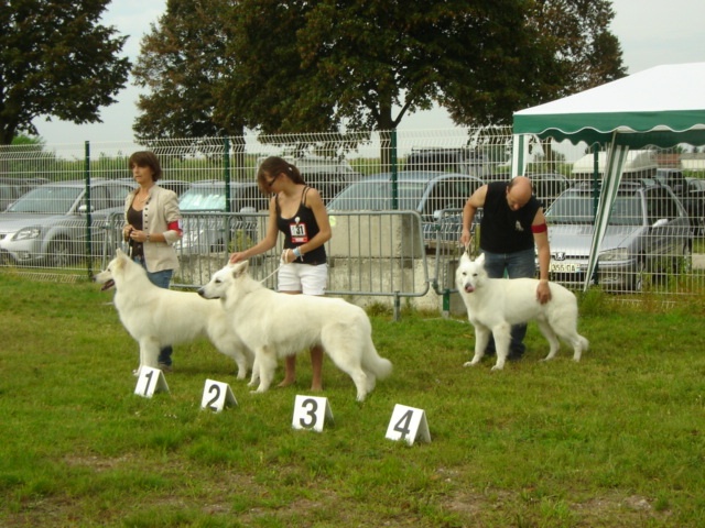 Falkor du domaine des fantomes blancs - CIM. 2ème Excellent