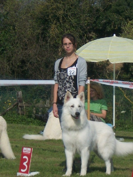 Falkor du domaine des fantomes blancs - CIM. 3ème Excellent.