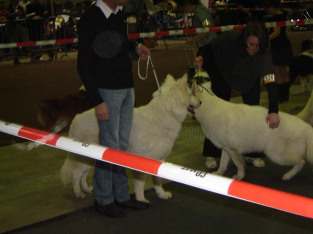Falkor du domaine des fantomes blancs - CJM. Excellent NC.