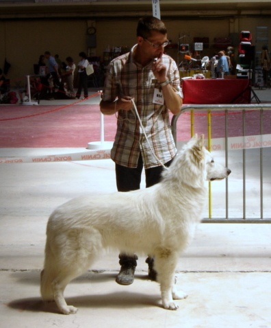 Falkor du domaine des fantomes blancs - CJM: 1er Très Bon