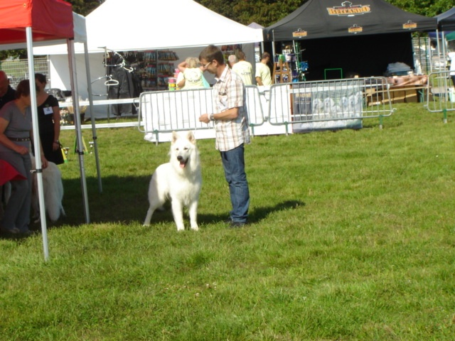 Falkor du domaine des fantomes blancs - CIM. EXCELLENT