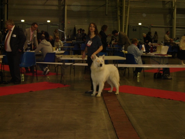 Falkor du domaine des fantomes blancs - CIM: 1er Très Bon