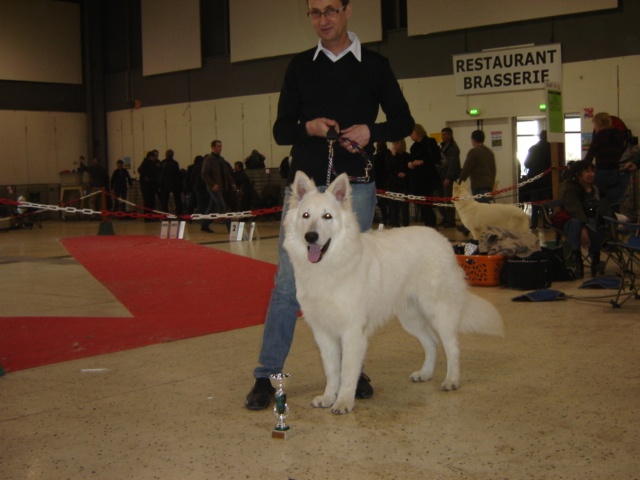 Falkor du domaine des fantomes blancs - CJM. 1er Excellent
