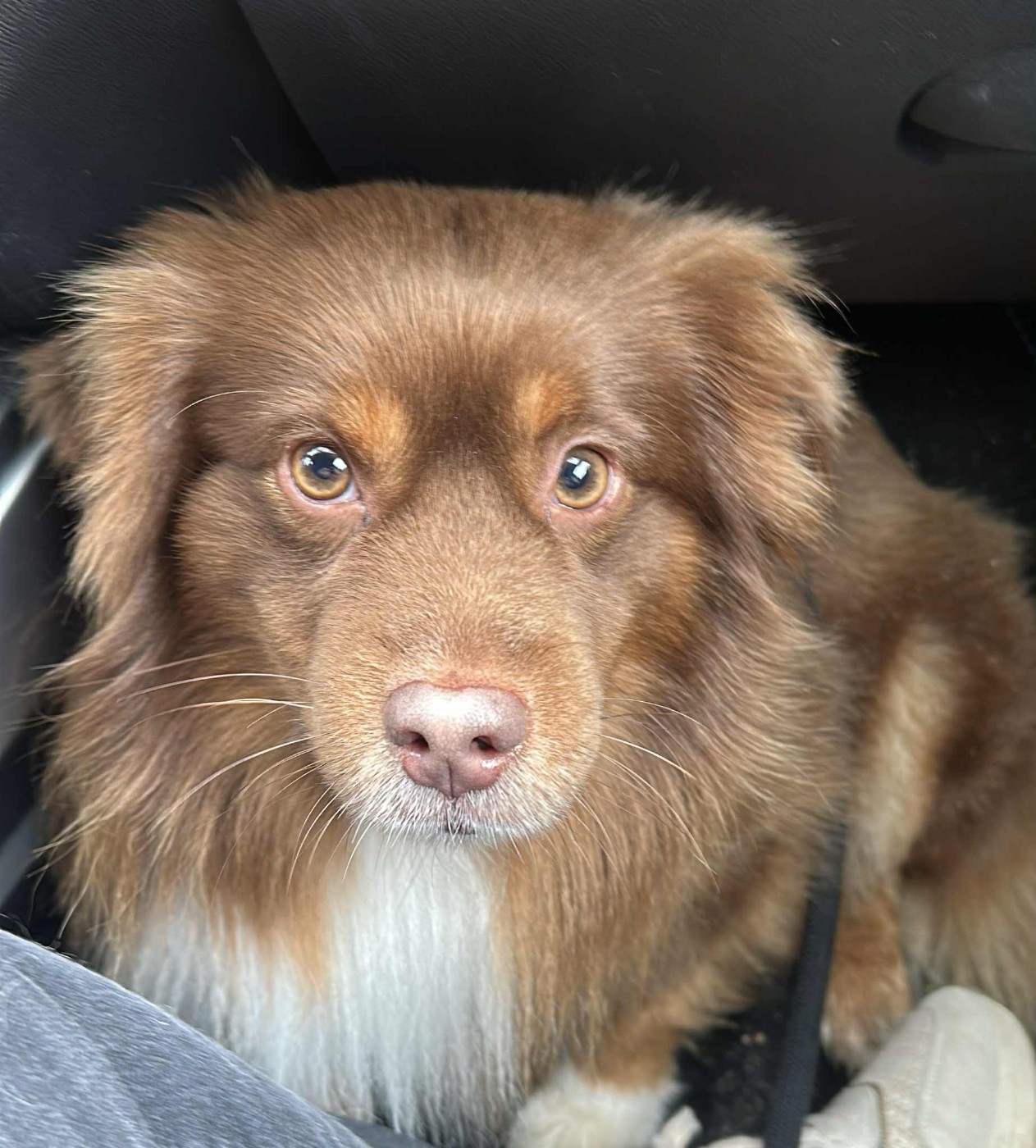 Publication : de la Forge Rebelle