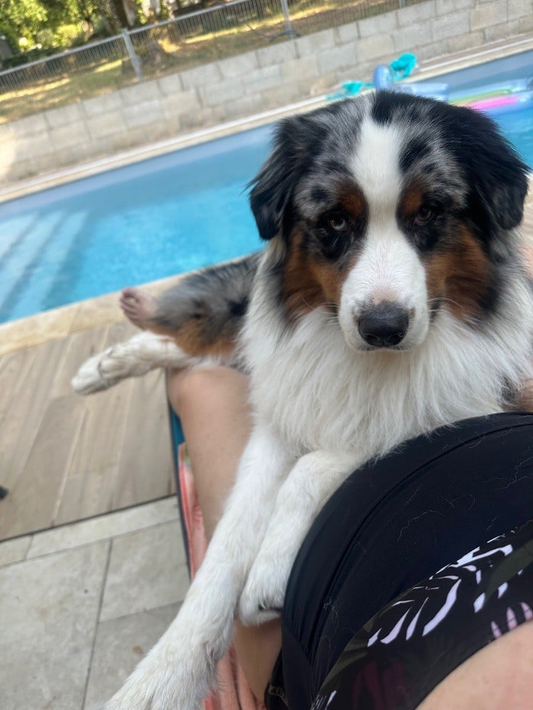 Twist and shout for rainbows de la Forge Rebelle