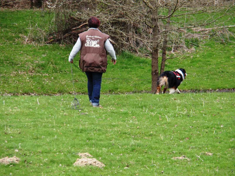 Ghostbusters de la Tour Mélusine - excellent 5 objets/5