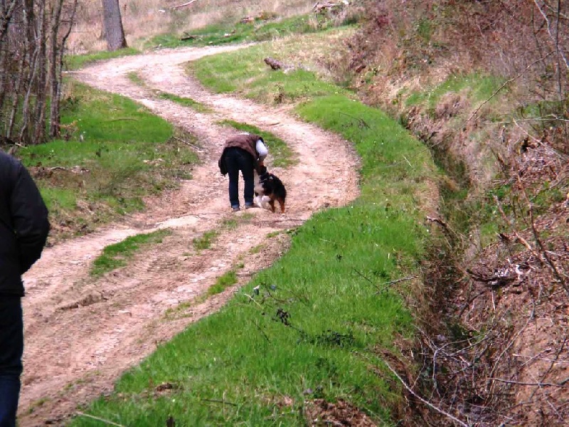 Ghostbusters de la Tour Mélusine - excellent 3 objets