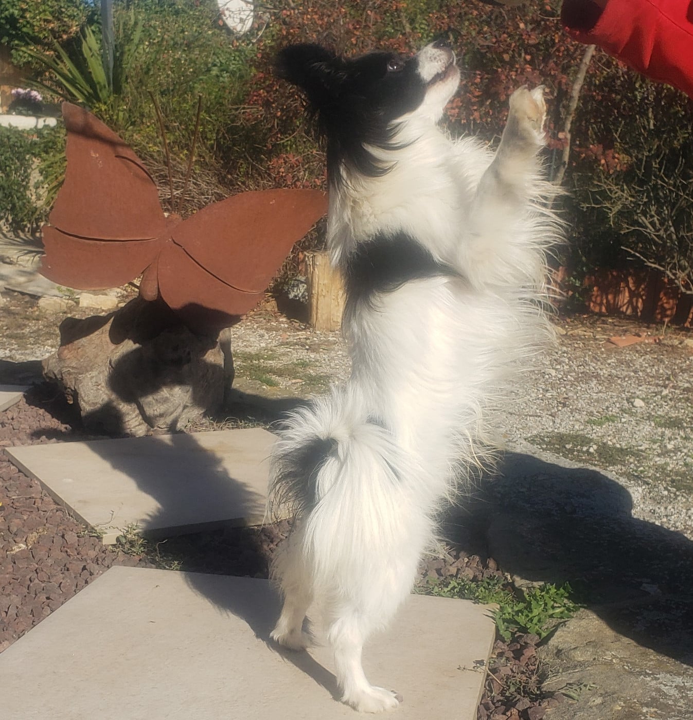 Vroom Des Terres D'Atimys