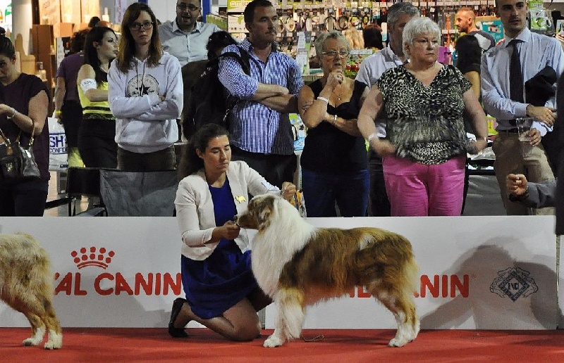 CH. I master de zecchinetta des terres de Laumeneel - exc