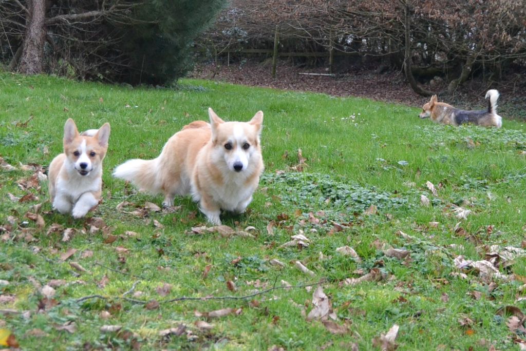 Publication : des Champs de l'Aigue