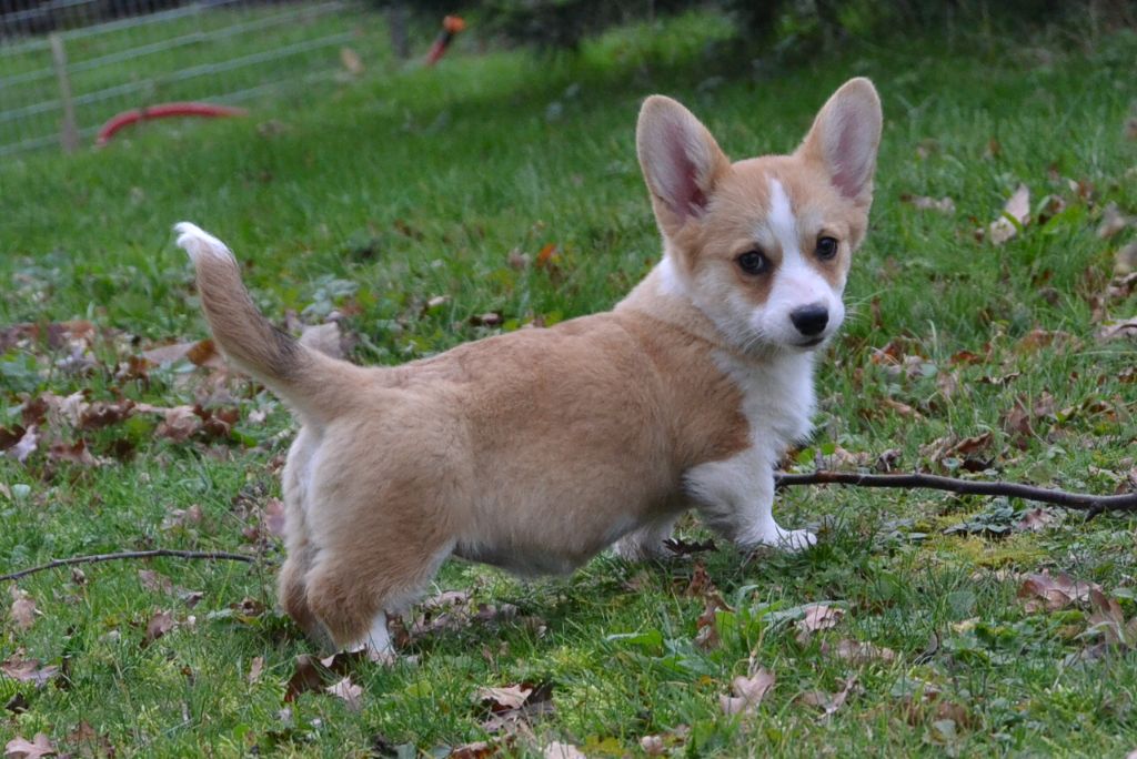 Publication : des Champs de l'Aigue