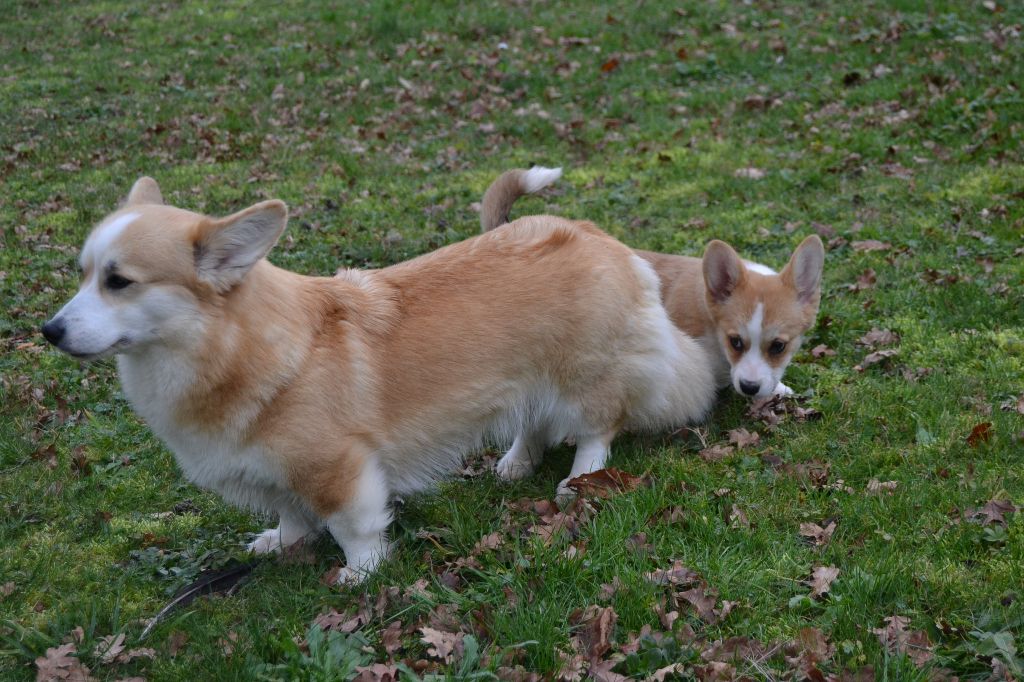 Publication : des Champs de l'Aigue