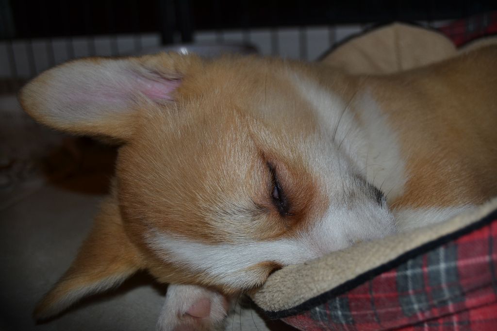 Publication : des Champs de l'Aigue