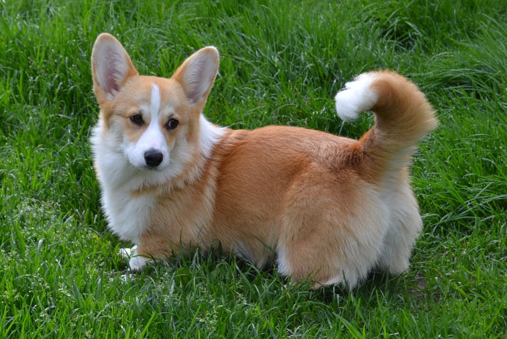 Publication : des Champs de l'Aigue