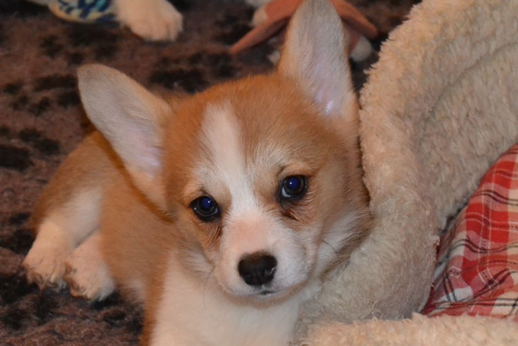 Publication : des Champs de l'Aigue