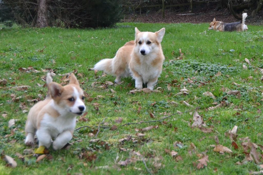 Publication : des Champs de l'Aigue