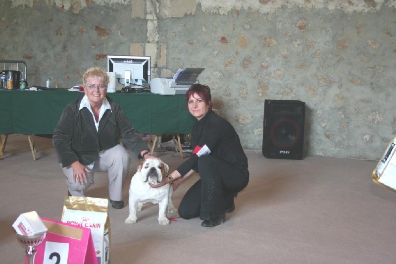 meljane bulldogs Captain Fachet - 2 ème Excellent Classe Jeune