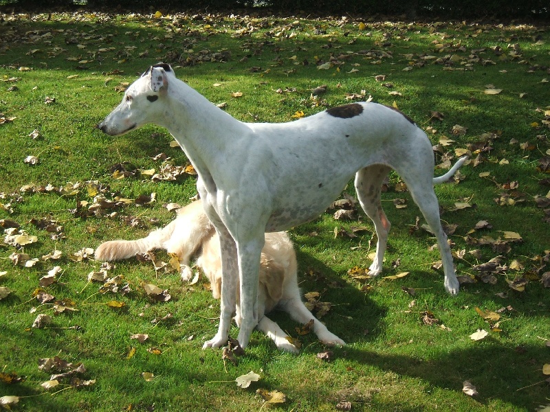 Publication : Bloomy's