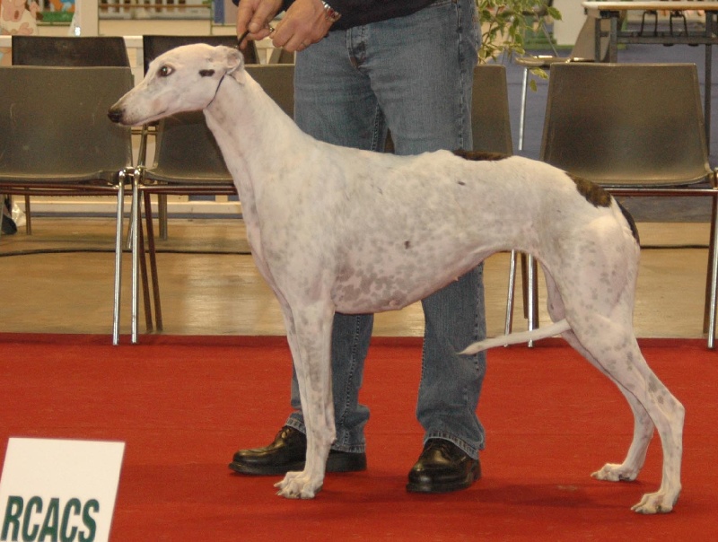 Publication : Bloomy's