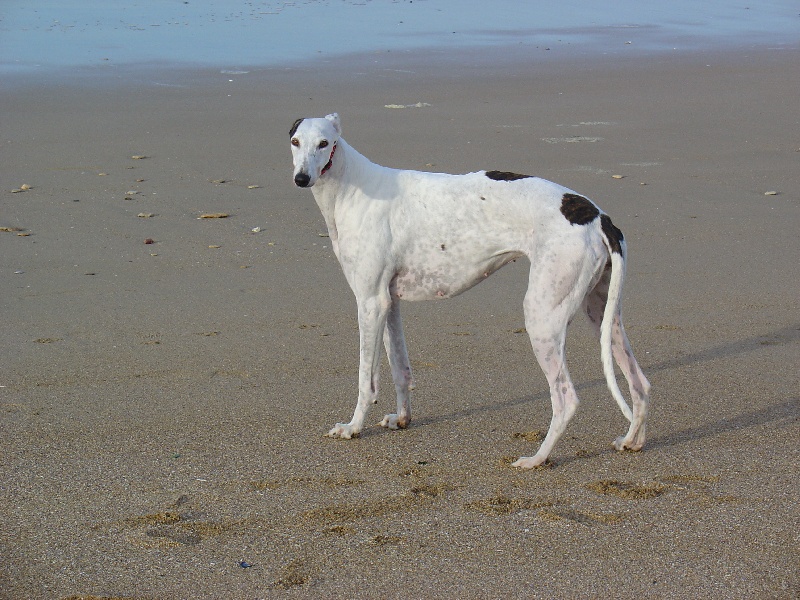 Publication : Bloomy's