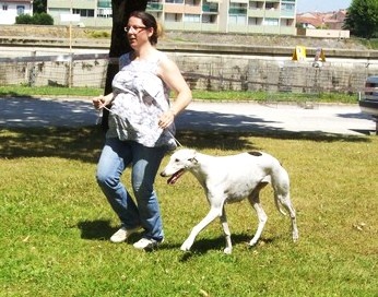 Baby girl fi-it - C.O.F. 1° Exc Meilleur de Race