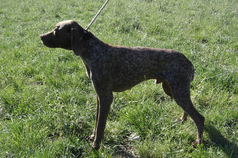 Publication : du mas de la meule Auteur : pierre budin