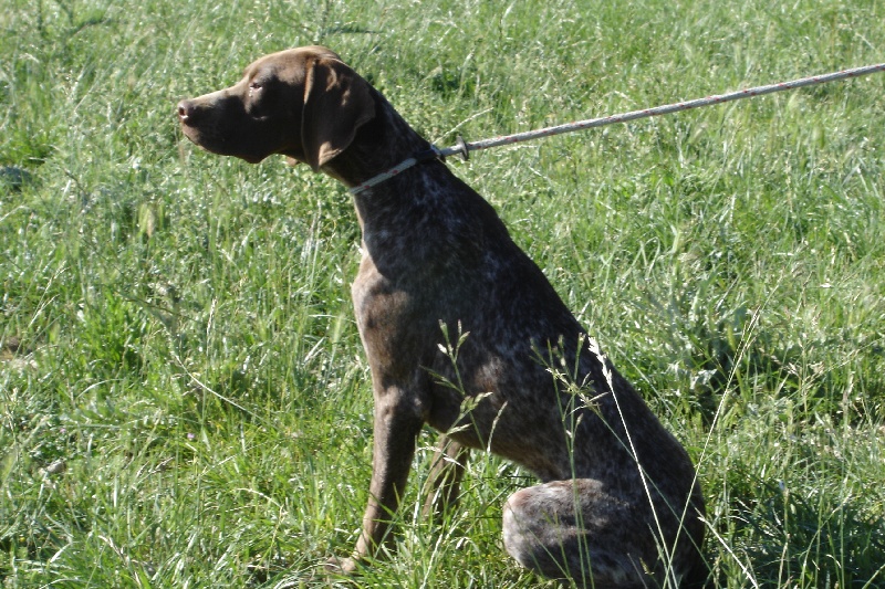 Publication : du mas de la meule Auteur : pierre budin