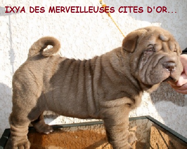 Publication : de l'Empire de Naikolomba Auteur : sandra soprano