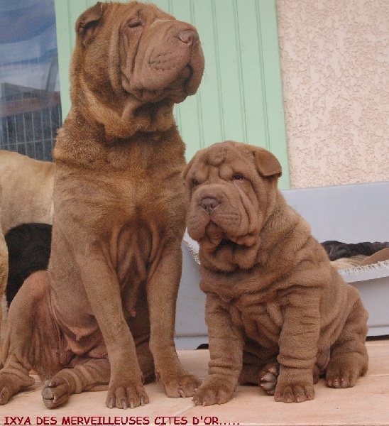 Publication : de l'Empire de Naikolomba Auteur : sandra soprano