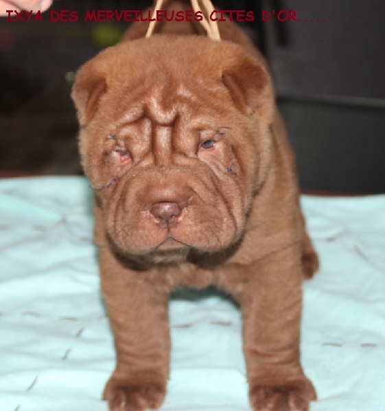 Publication : de l'Empire de Naikolomba Auteur : sandra soprano