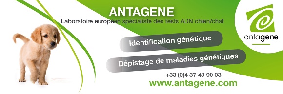 ANTAGENE