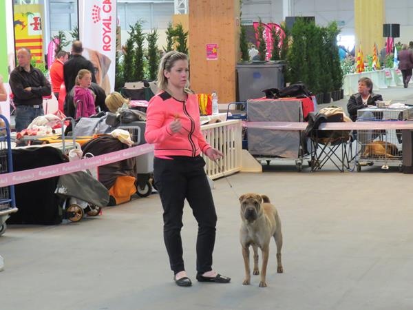 Hasta la vista de l'Empire de Naikolomba - 4éme Excellent en classe jeune femelles