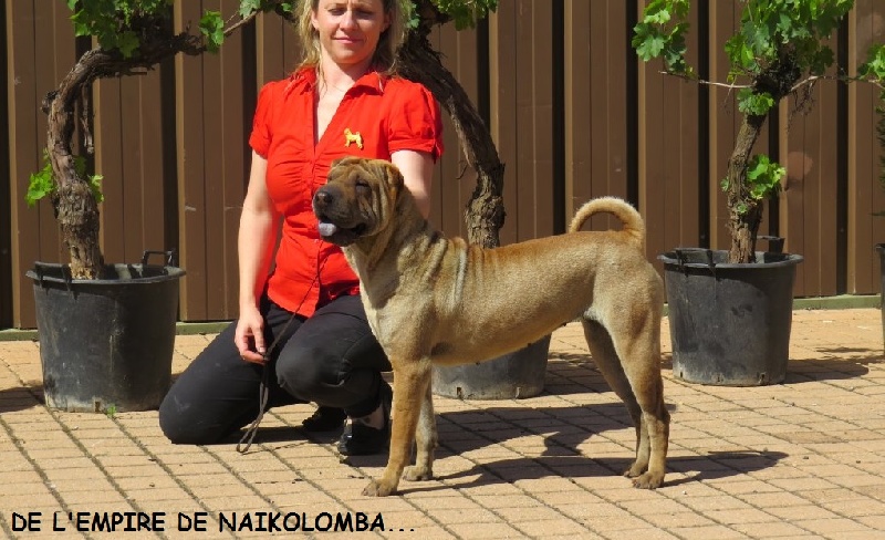 Hasta la vista de l'Empire de Naikolomba - 1ére EXCELLENT en Classe Intermédiaire Femelles