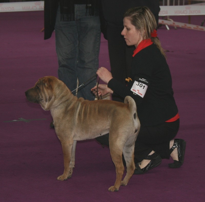 Hasta la vista de l'Empire de Naikolomba - 1er en classe jeune femellle