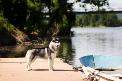 de Daybreak Northern