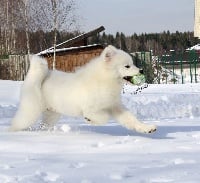 de Daybreak Northern