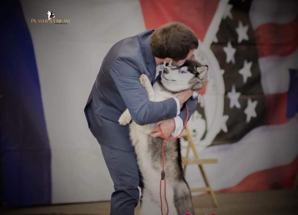 CH. Charlotte kingdom navjord - excellent