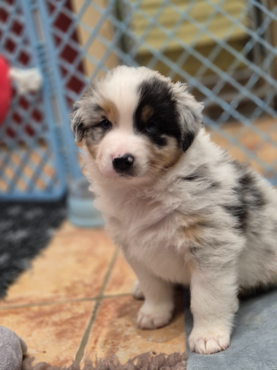 Always remember us this way "Ally"