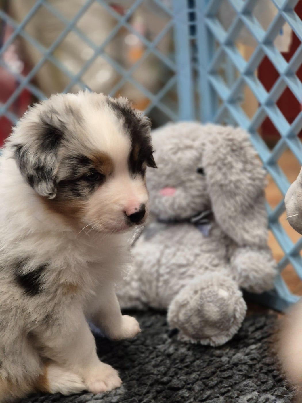 Always remember us this way "Ally"