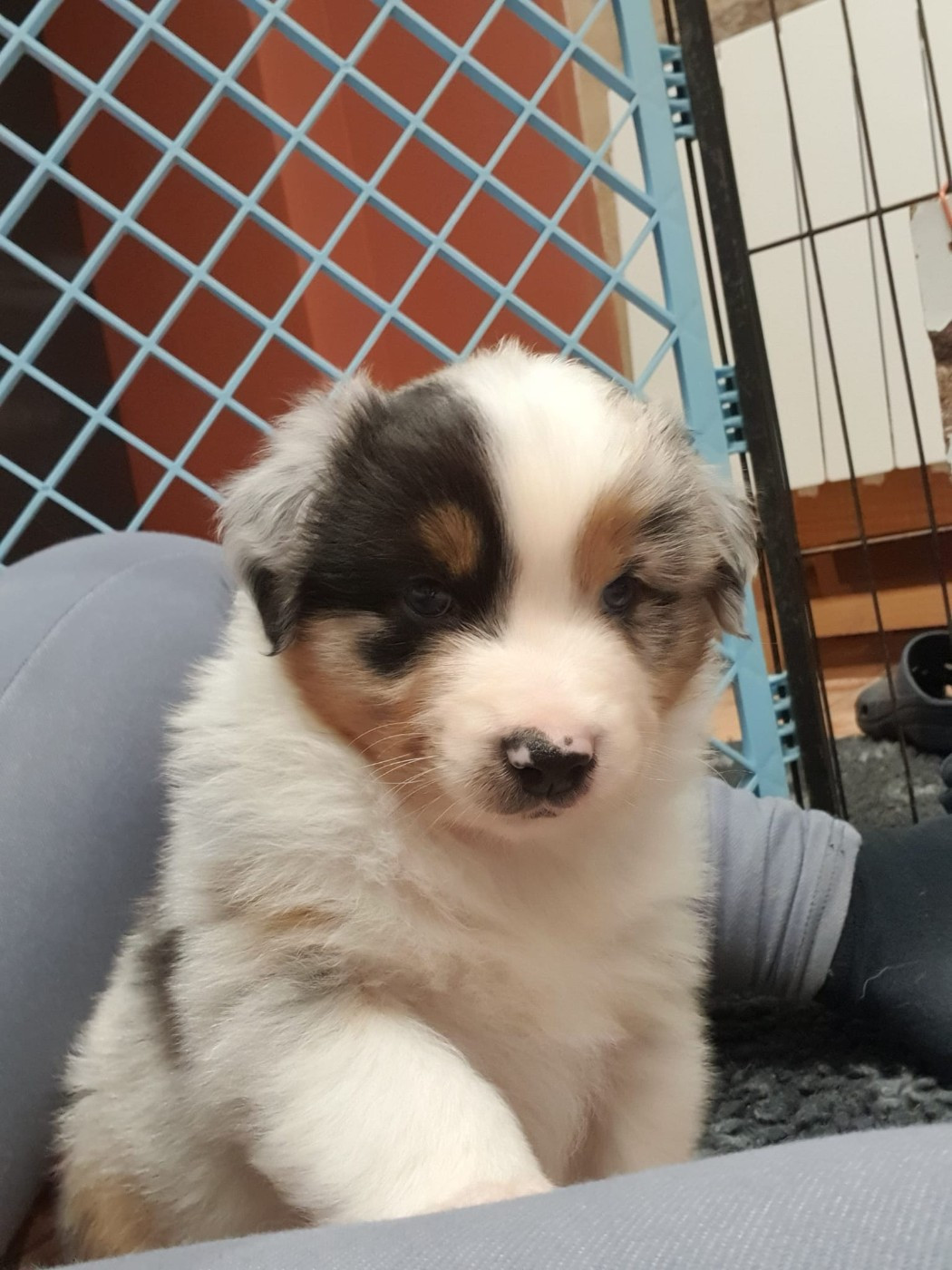 Always remember us this way "Ally"