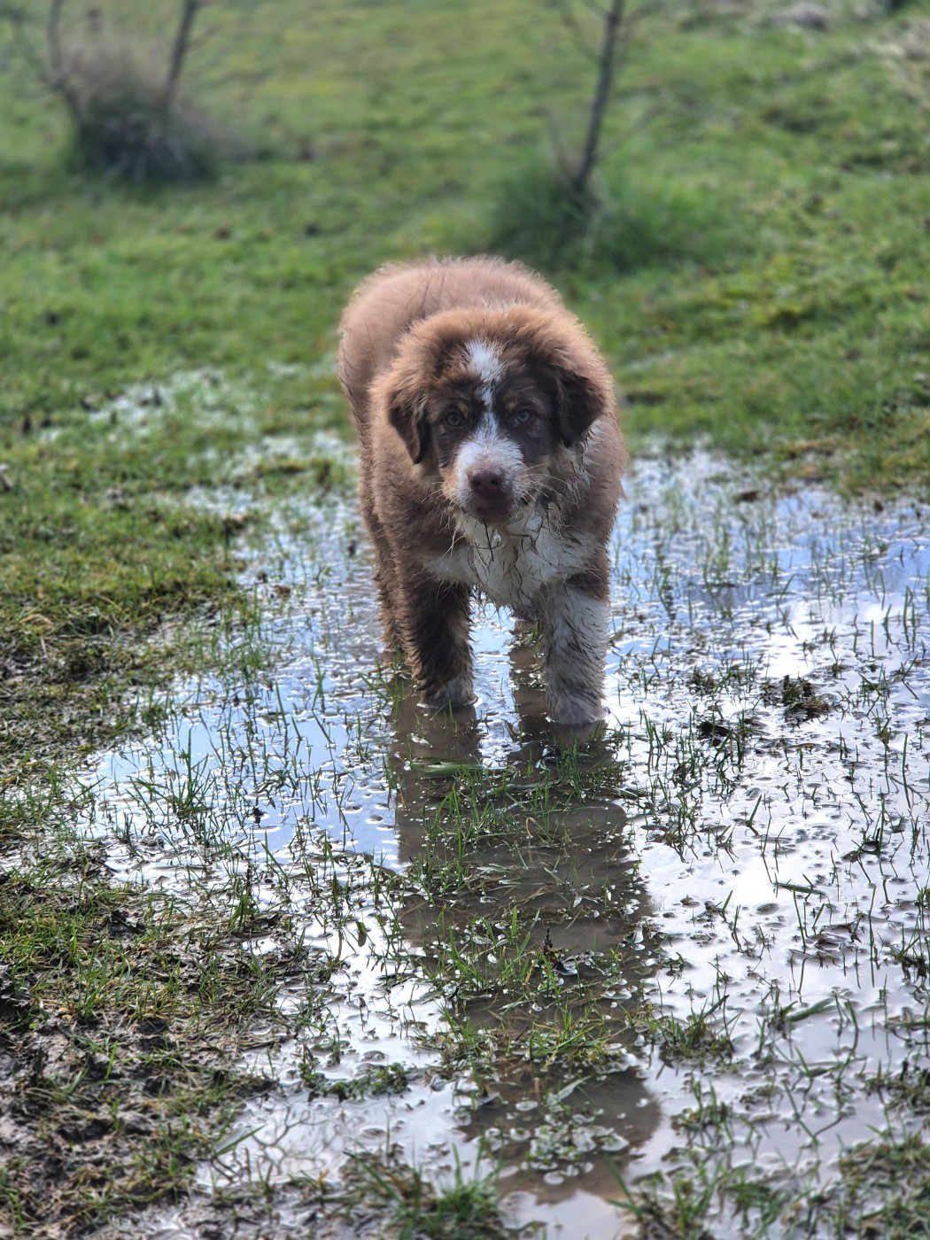 Another one bites the dust "Hero"