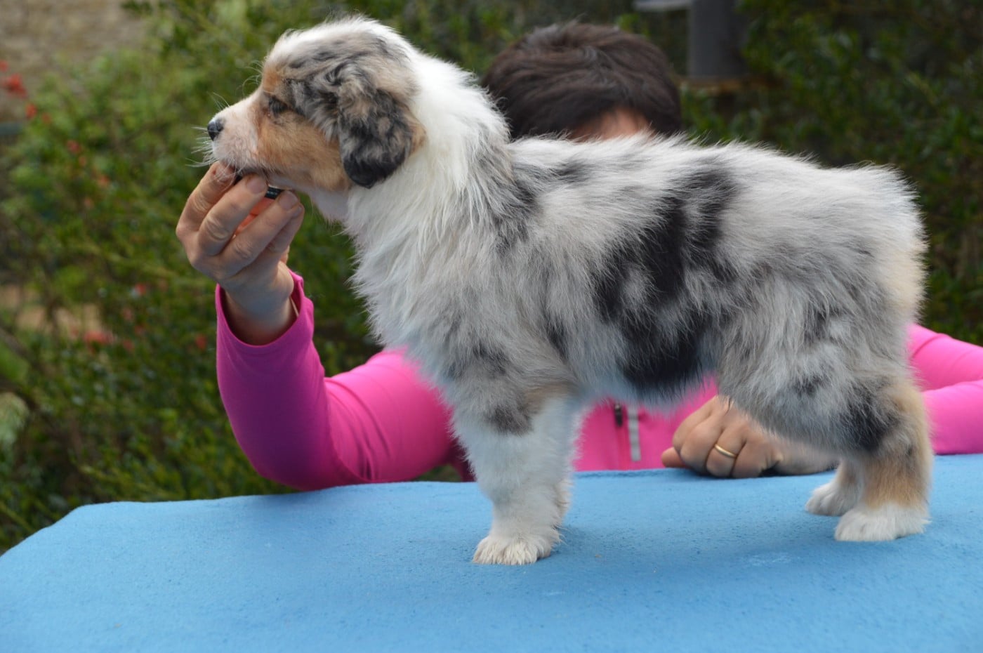 BORN TO BE A LITTLE QUEEN