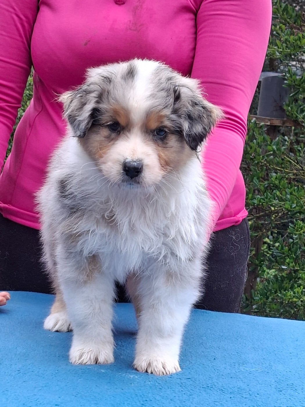 BORN TO BE A LITTLE QUEEN