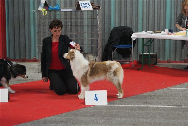 Exotic red piment du domaine de la Camosciara - 4eme EXCELLENT classe JEUNE