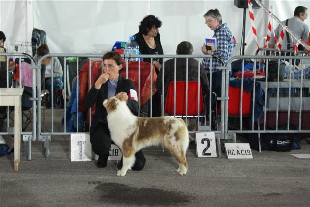 Exotic red piment du domaine de la Camosciara - 1ER EXCELLENT classe JEUNE