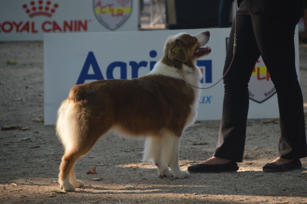 Pomchoco butter on the cake du domaine de la Camosciara - 2 ème Exc OF